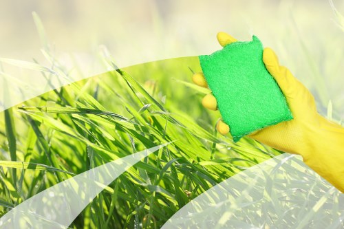 Professional upholstery cleaning in Lissongrove living room sofa