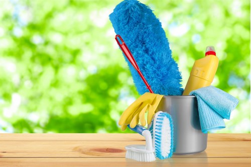 Professional rug cleaning in a Lissongrove home setting