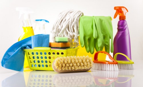 Professional stain removal process in Lissongrove
