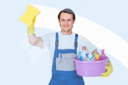 Professional carpet cleaning equipment and service scope