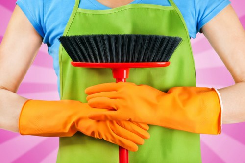 Professional carpet cleaning team focused on safety and protection