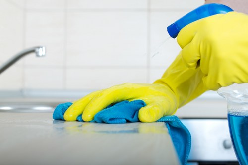 Professional treatment for lingering pet odours in upholstery